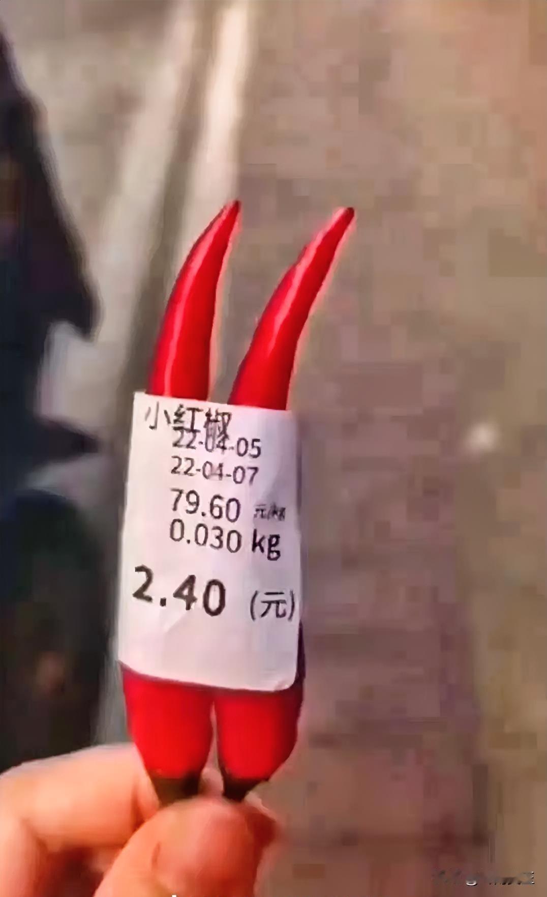 现在的辣椒🌶️价格又升天了！农作物的价格总是如此，一会跌到泥，连成本都得不