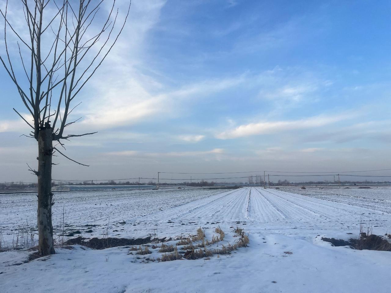 雪后随拍雪景记录身边美景