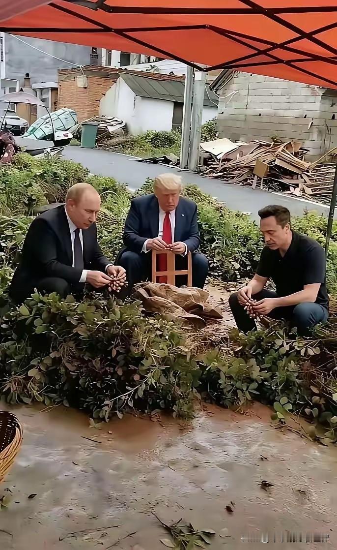 这是三位不一般的人物在一起摘花生的场景。这张合成图看似荒诞，但恰恰反映出某种朴实