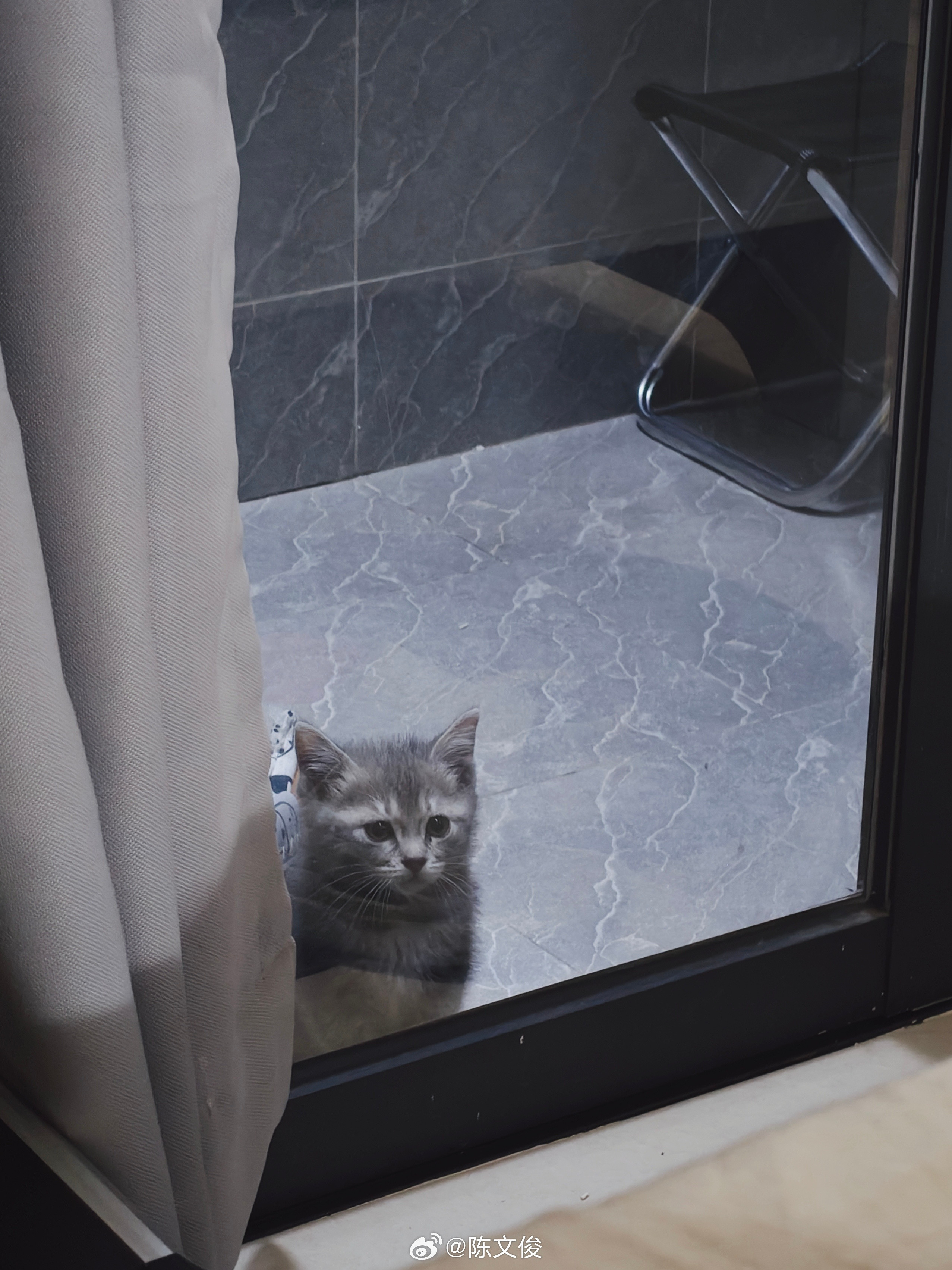 一直盯着我看，想出来……但在打针之前，我只能让你在阳台待着了