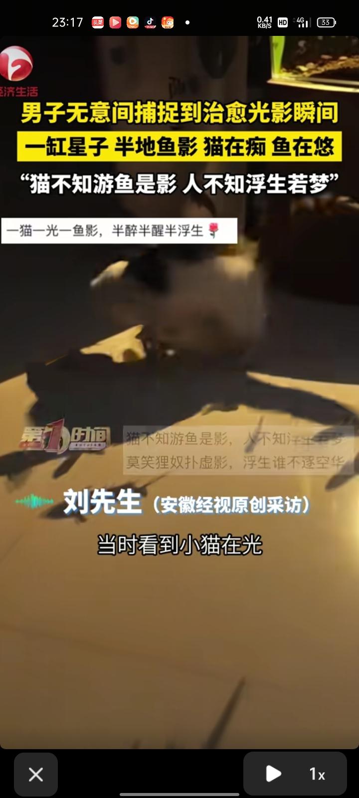 3月20日，云南玉溪。男子发布视频表示，自己拍摄小猫时无意间捕捉到治愈光影瞬间，