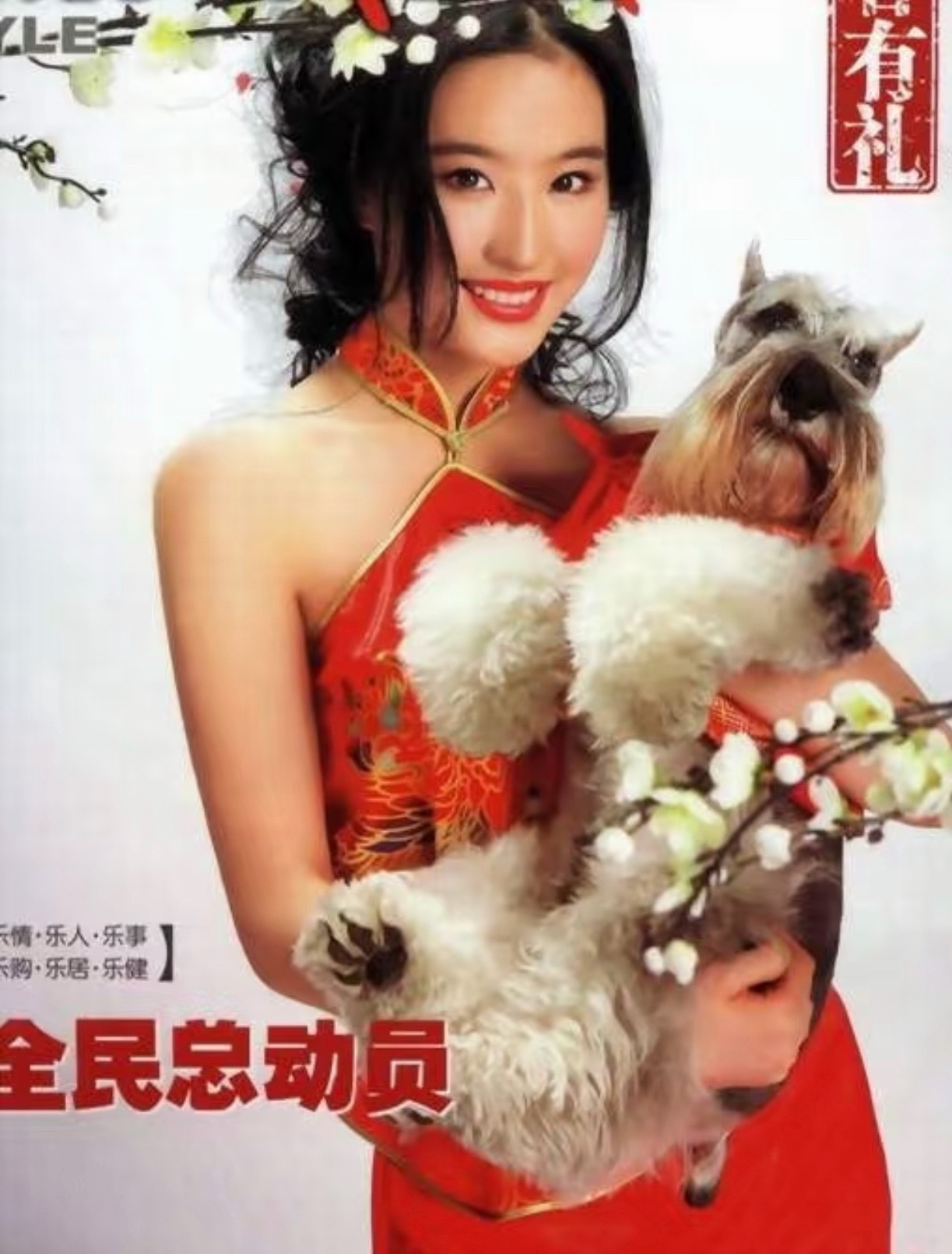 我服了，嘿粉找图比粉丝们还厉害，发出来的刘亦菲这组我又没见过…