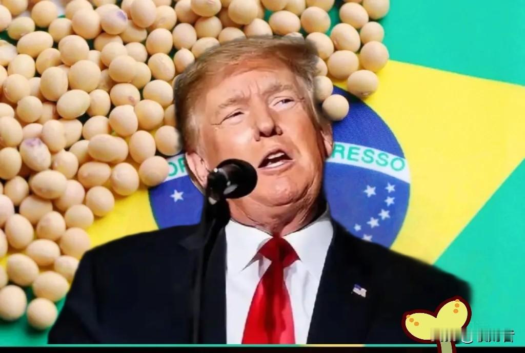果然让我猜中了！大豆的交易肯本就是个引子，18万吨大豆的交易一出手，老特立?