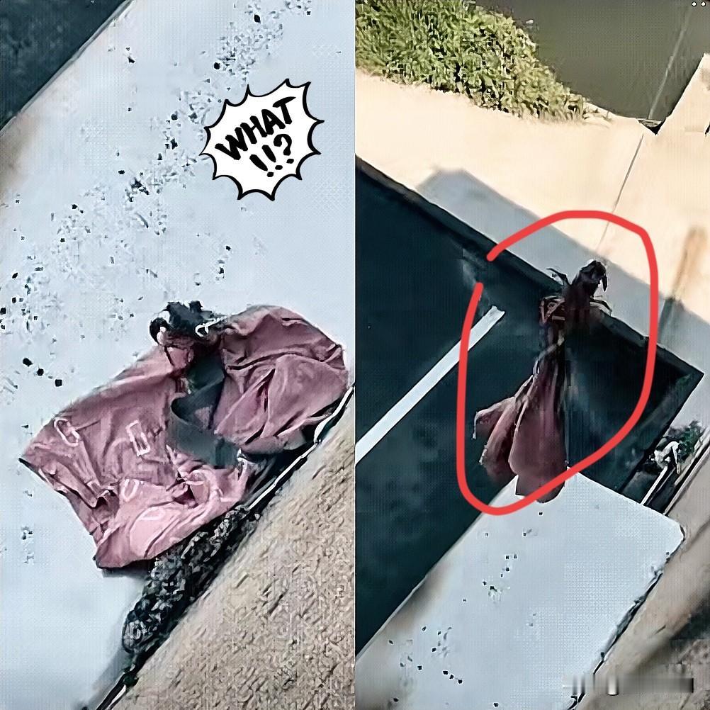 绝了！美女用小龙虾“钓”内裤，这操作我服！要说这美女也是真机智，老公内裤从阳