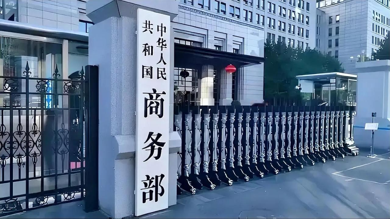 这下子，欧盟终于开始感受到来自中国的压力了？9月5日，中国商务部发出公告，认定欧
