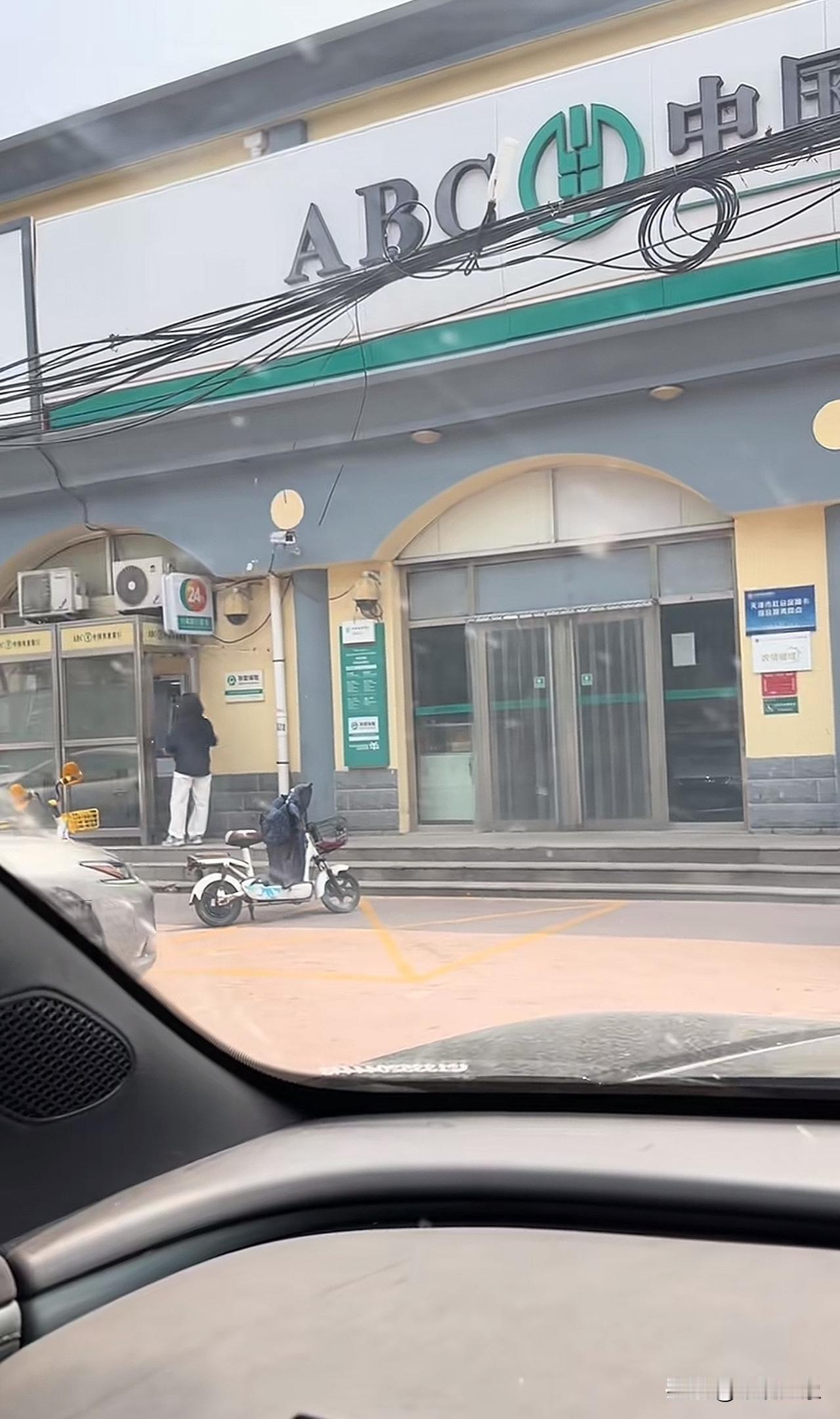 以后能不能躺平就靠你俩了[呲牙笑]狗狗大盗