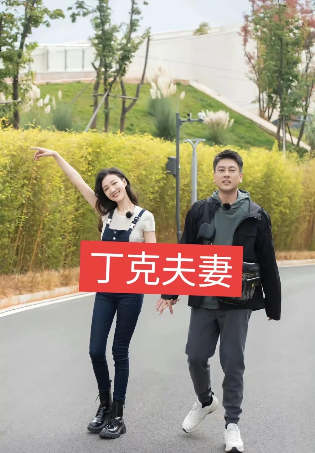 13对明星丁克夫妻明星生活的另一面真夫妻就是好磕明星故事真夫妻果然是最好