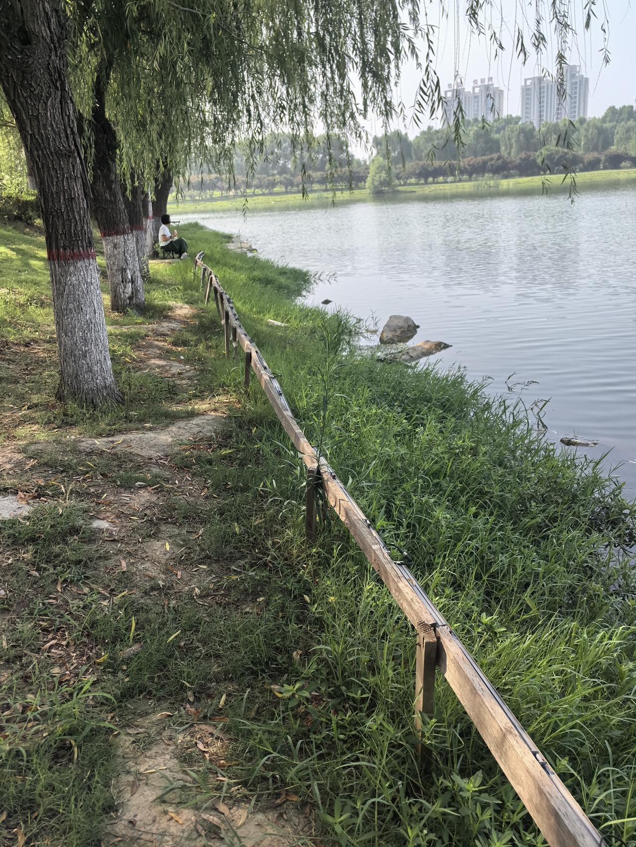 我掰着手指头算算，我的准研究生儿子与他的女朋友已经同居九天的时间了。这个暑假，