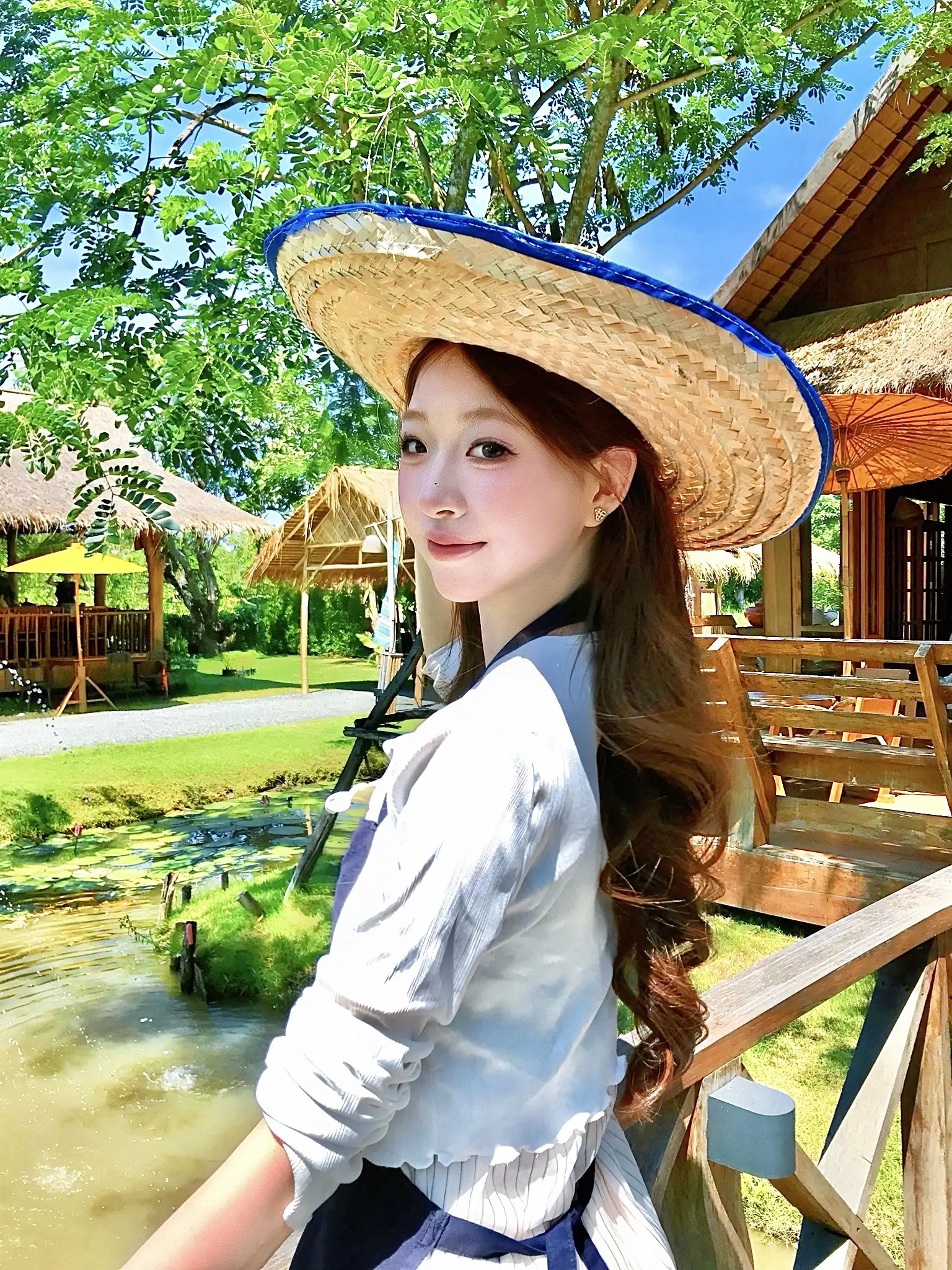 风吹过夏天 绿叶黄花☀️。