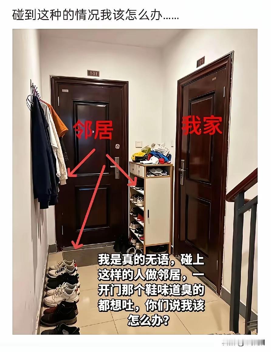 说实话买房子就像开盲盒你永远不知道隔壁住着什么人[捂脸哭]