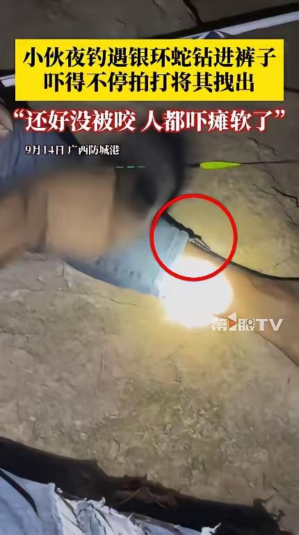 9月14日，广西防城港，一男子坐在河边钓鱼，忽然，感觉小腿一阵冰凉，他下意识的用