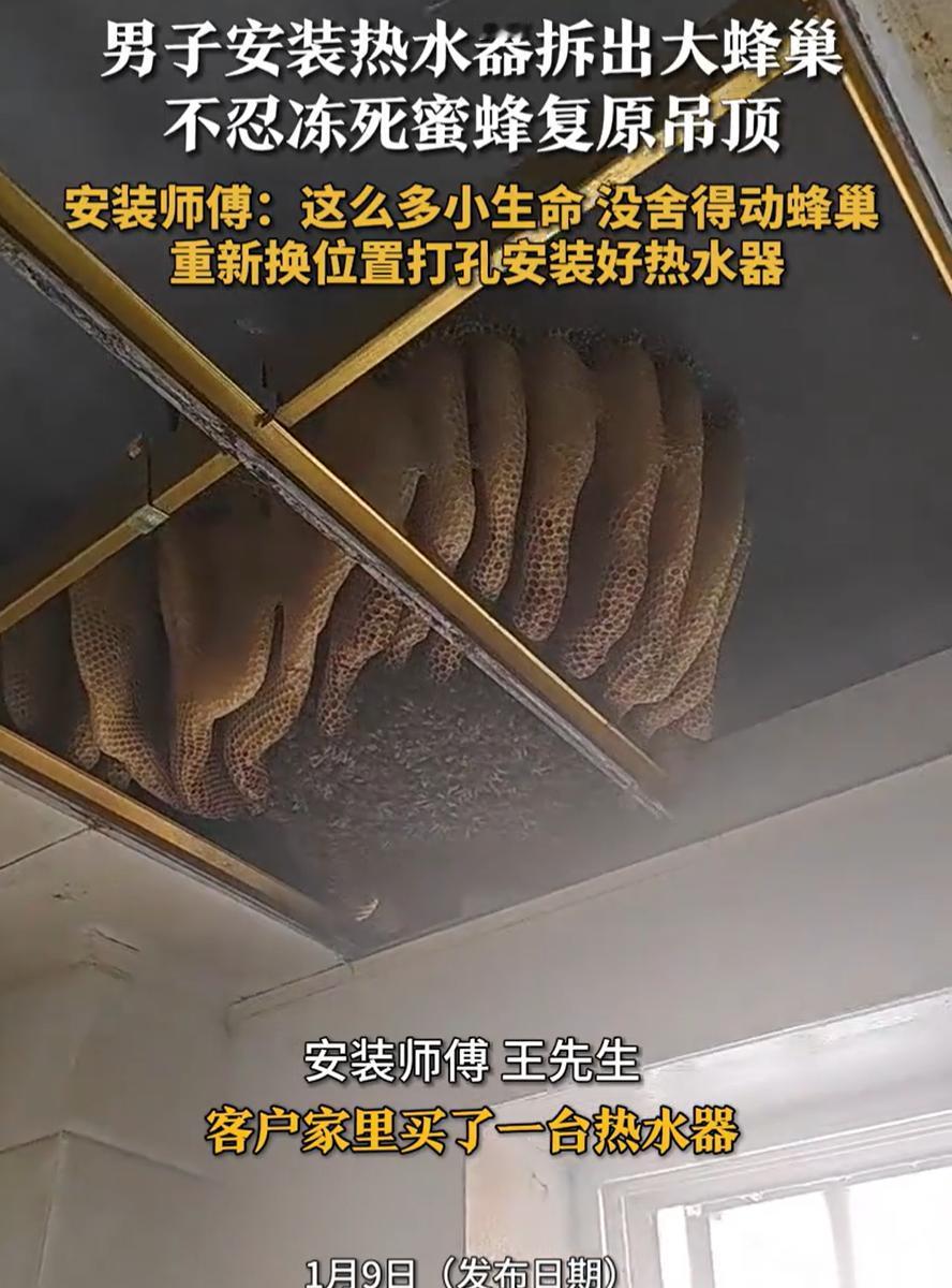 今天刷到个事儿，江苏宿迁一户人家装热水器，师傅拆开厨房吊顶直接傻眼。里面密密麻麻