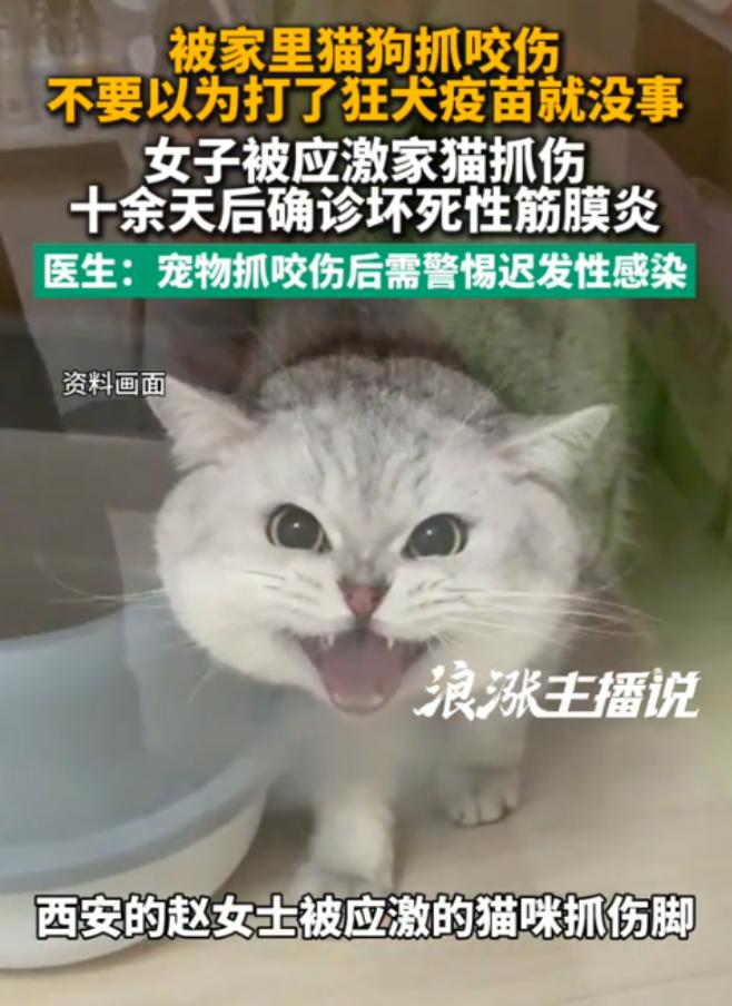 8月7日报道陕西西安，一女子被家猫抓出血，全程规范打完疫苗、伤口快速结痂后本以为