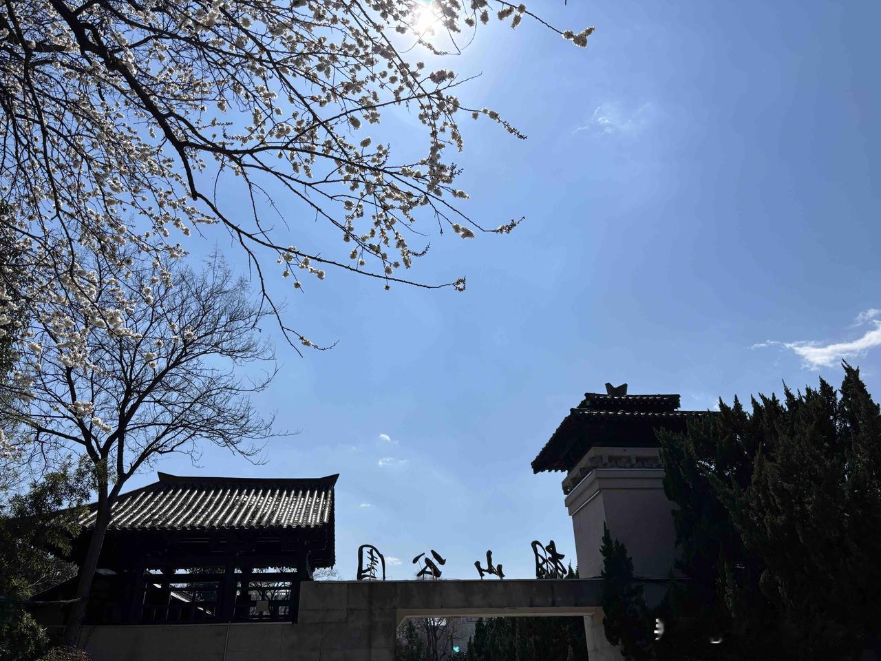 办公室同事淘到宝了！姐姐让妹妹帮着看房买房，条件是养老1到3层都可以，就是不