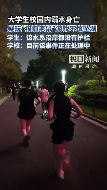 深夜校园里追着跑的老鼠，怎么就再也没上来？上周还和室友组队玩猫抓老鼠，躲