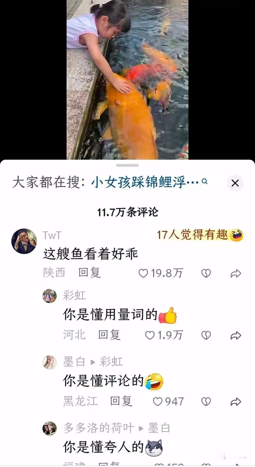 我就知道精彩的全在评论区​​​