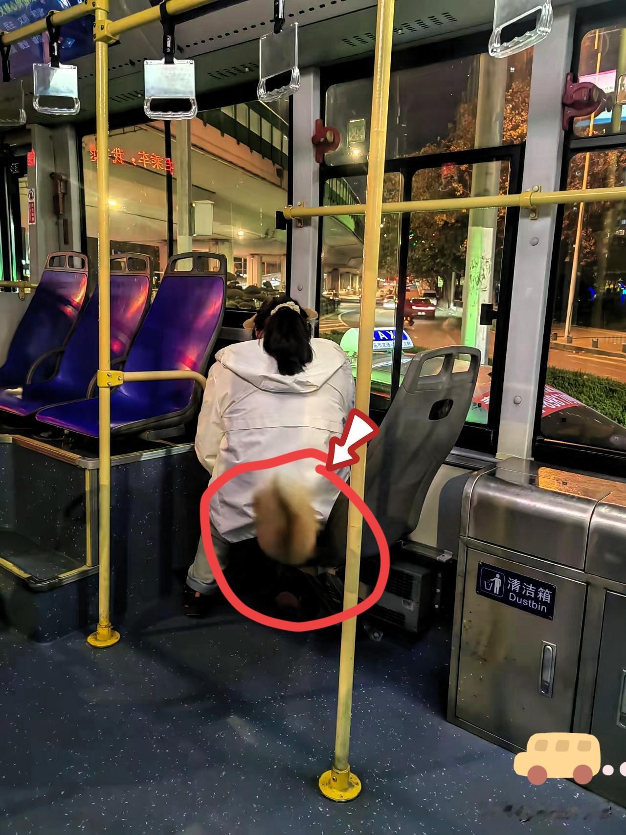 青岛公交车上惊现“狐狸尾巴”本来公交上大家都低头刷手机，突然前排一阵小声偷