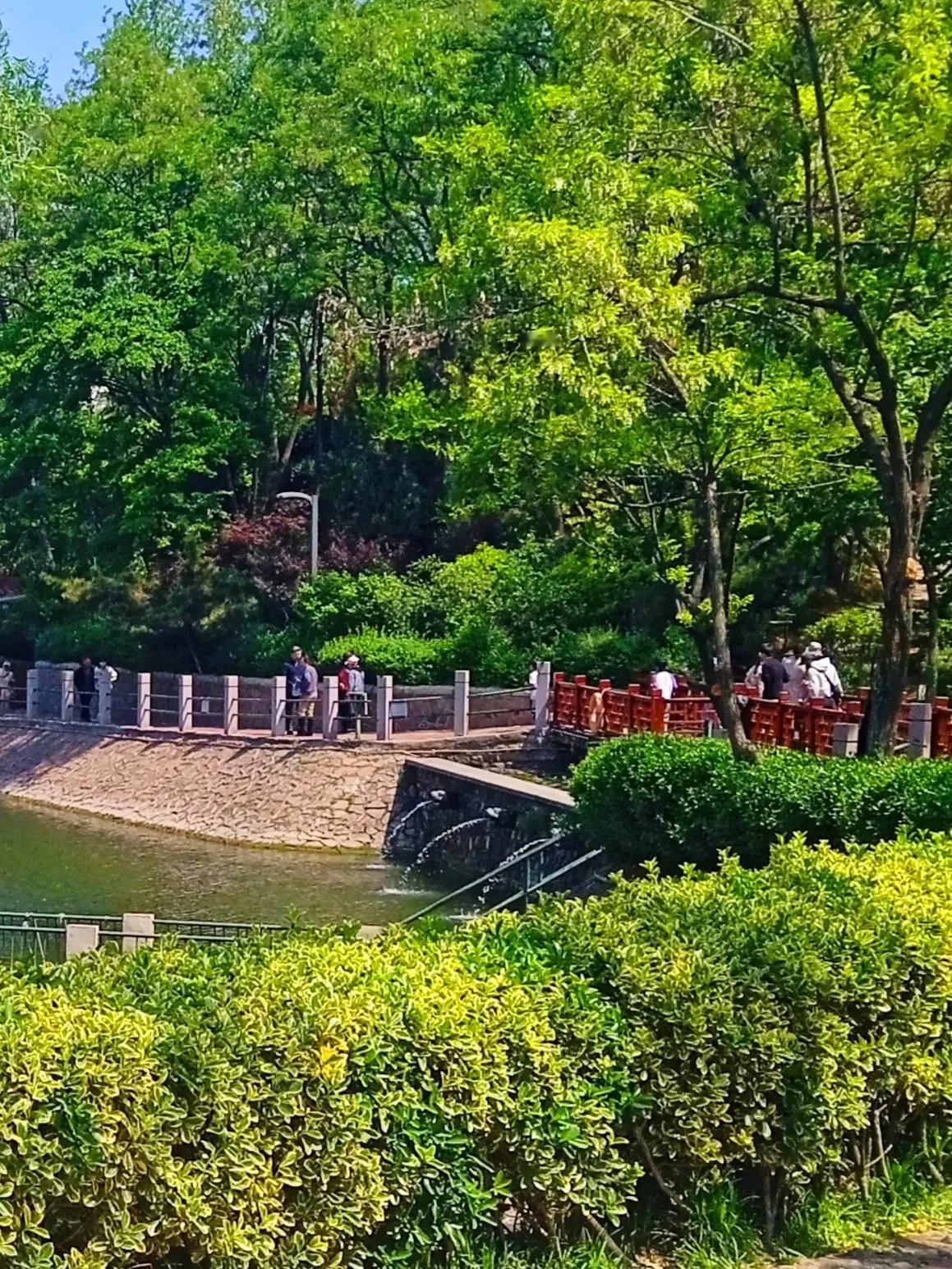 逛逛青岛北岭山公园去5，1节去逛了青岛中山公园和海边景区，看到的是游人太多了