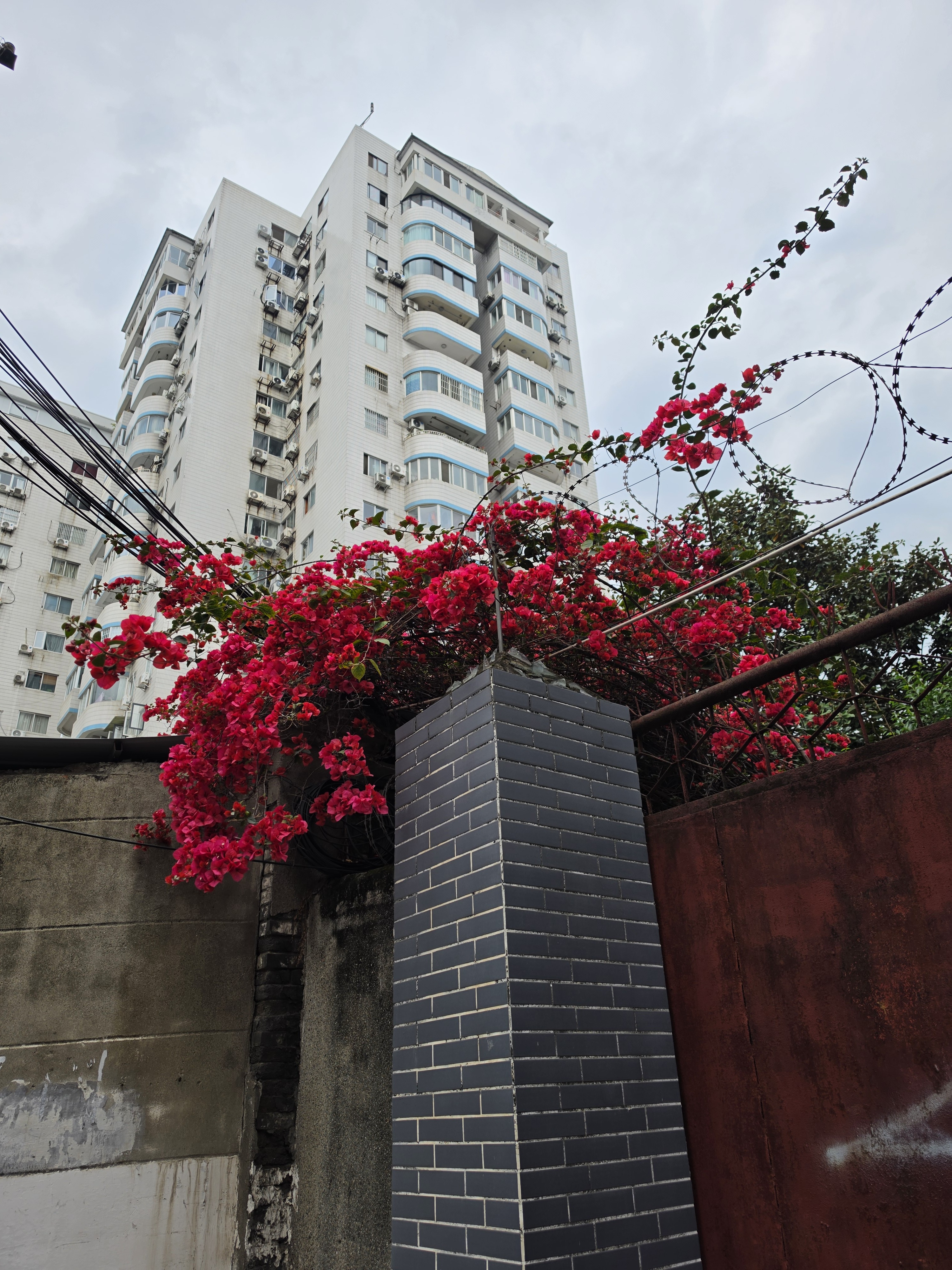 成都这个季节挺好的i冰宇宙