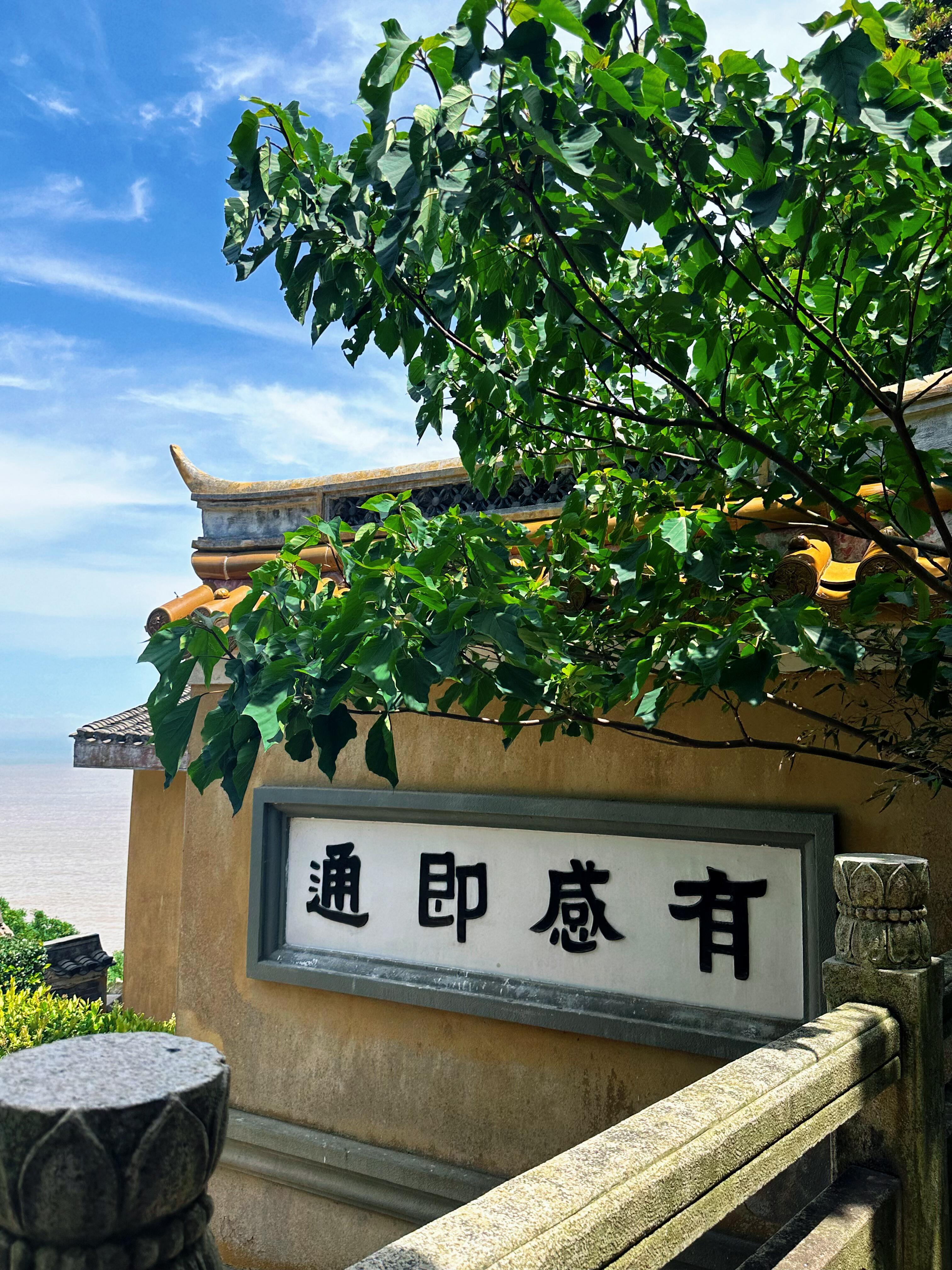 老了不受罪的三个小方（仅供参考）1、芍药、炙甘草各20g。主治浑身上下各种疼痛，