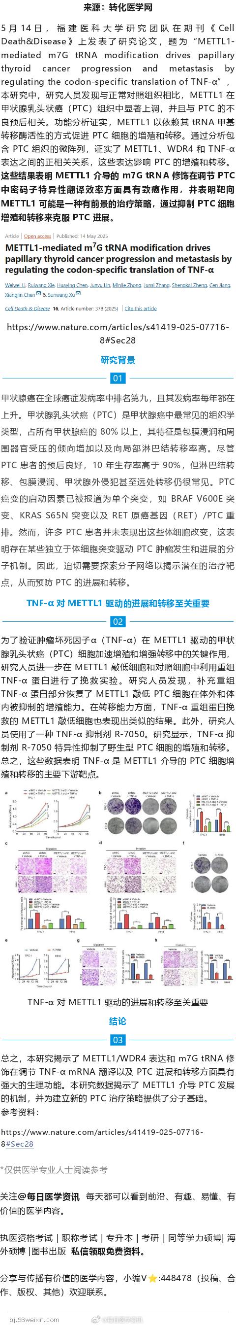福建医科大学重大发现：新型癌症治疗方法有望抑制癌细胞增殖与转移