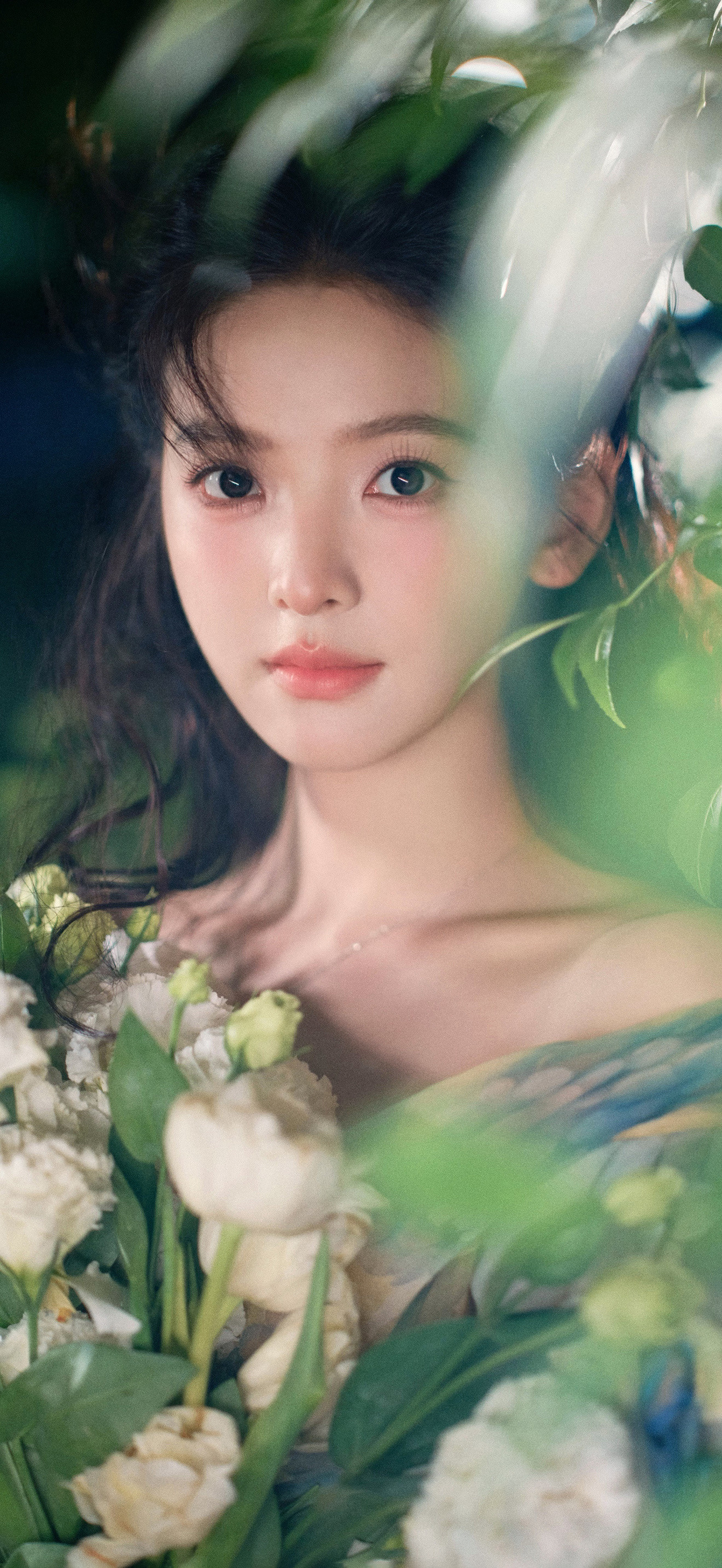 章若楠壁纸#章若楠##芭莎之夜##明星壁纸##壁纸叔叔#​​​​