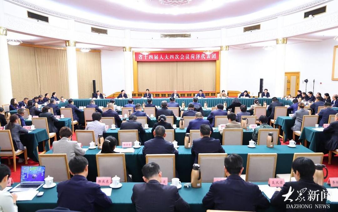 林武参加菏泽代表团审议