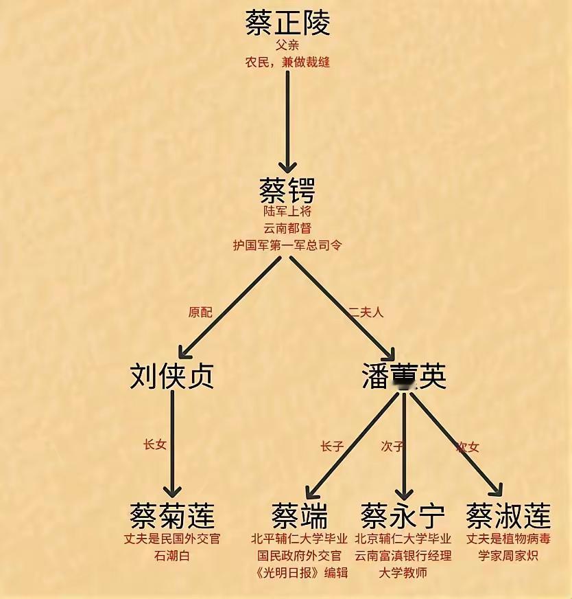 蔡锷34岁就病逝于日本福冈，令人惋惜，他的4名子女的人生也各有不同。长子蔡端，投
