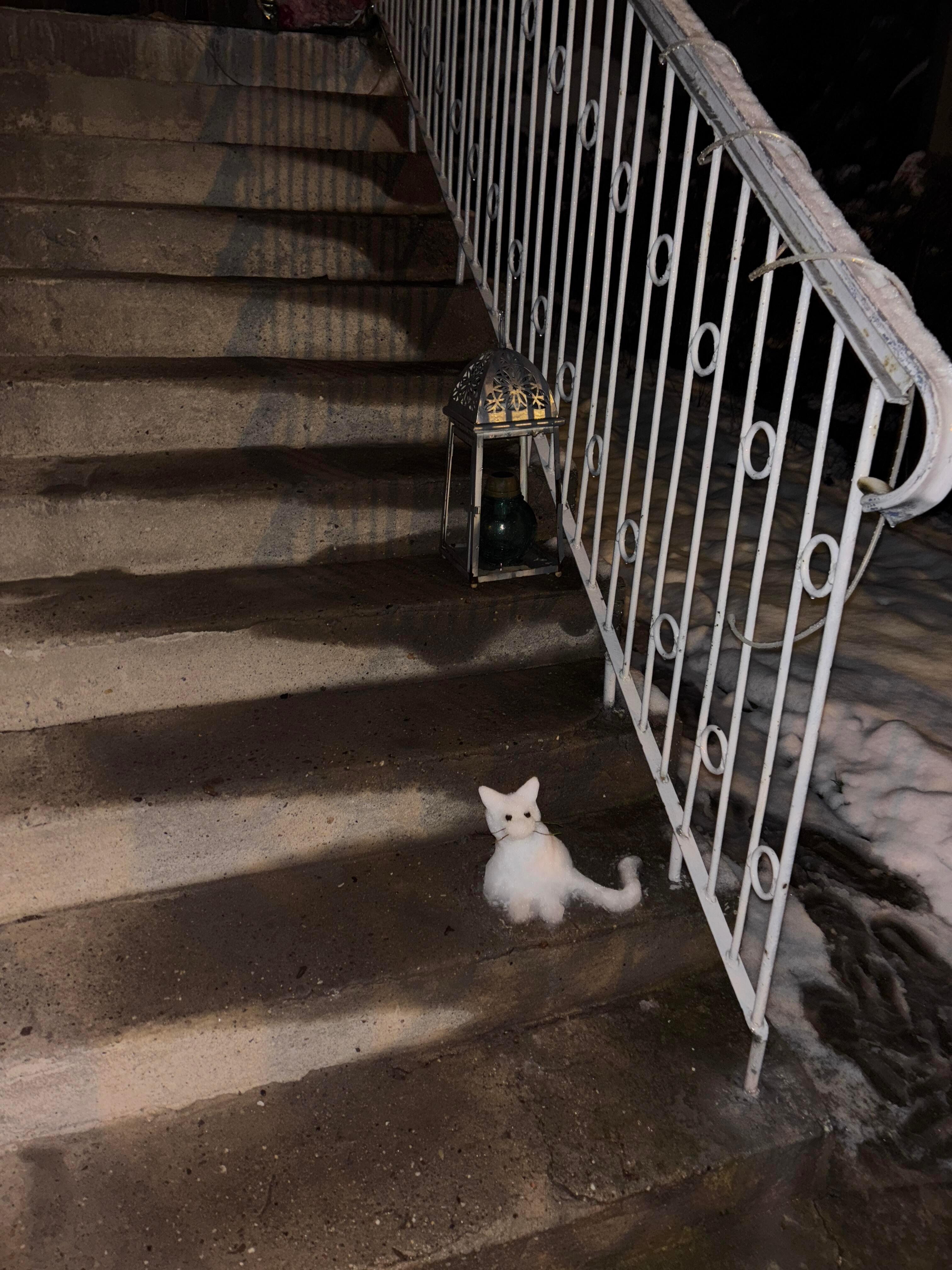 下雪了堆了一只看门小猫咪