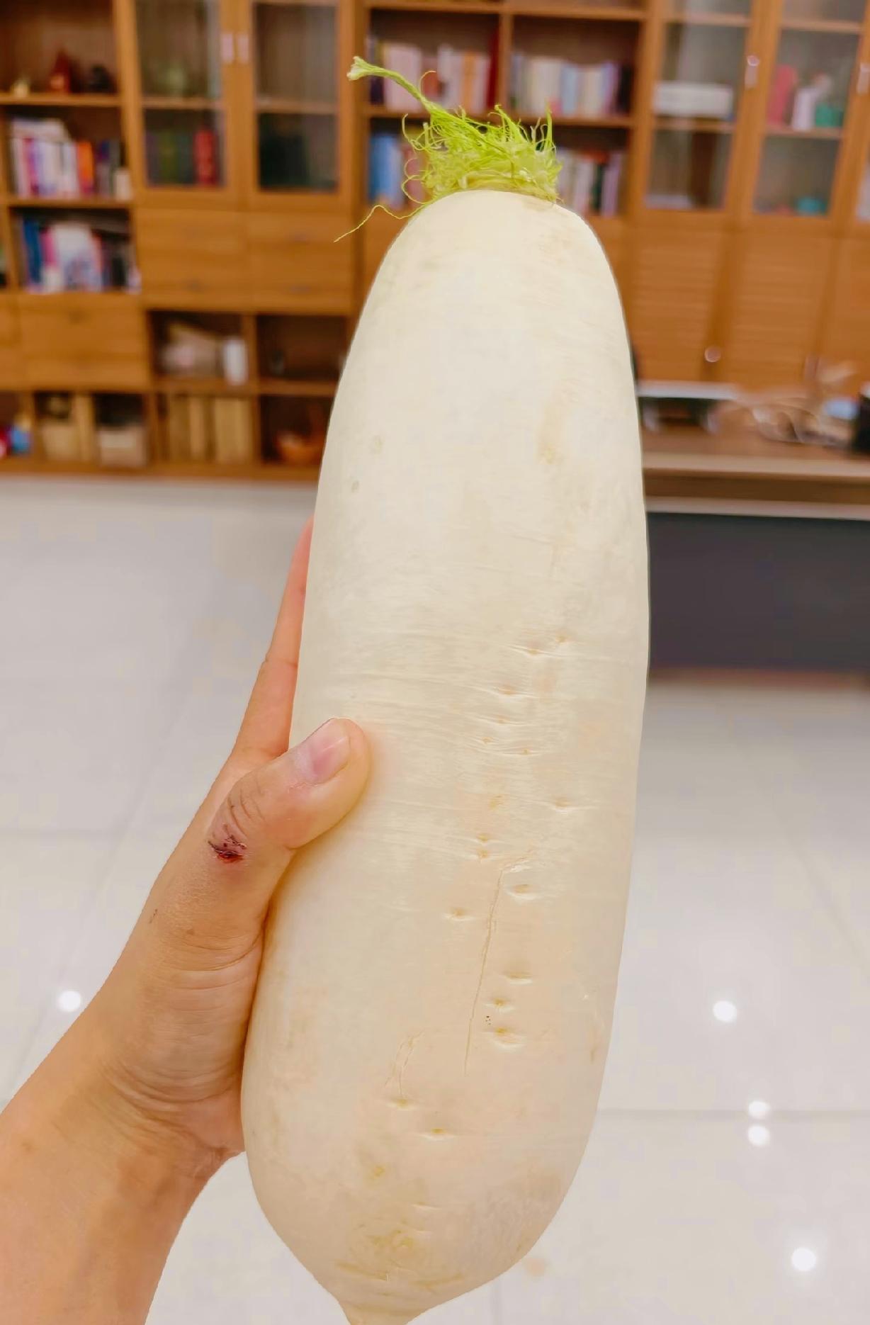 曾仕强老先生说！曾仕强教授告诉我们：“天地立春人生立志。立春要默念：从今天起，