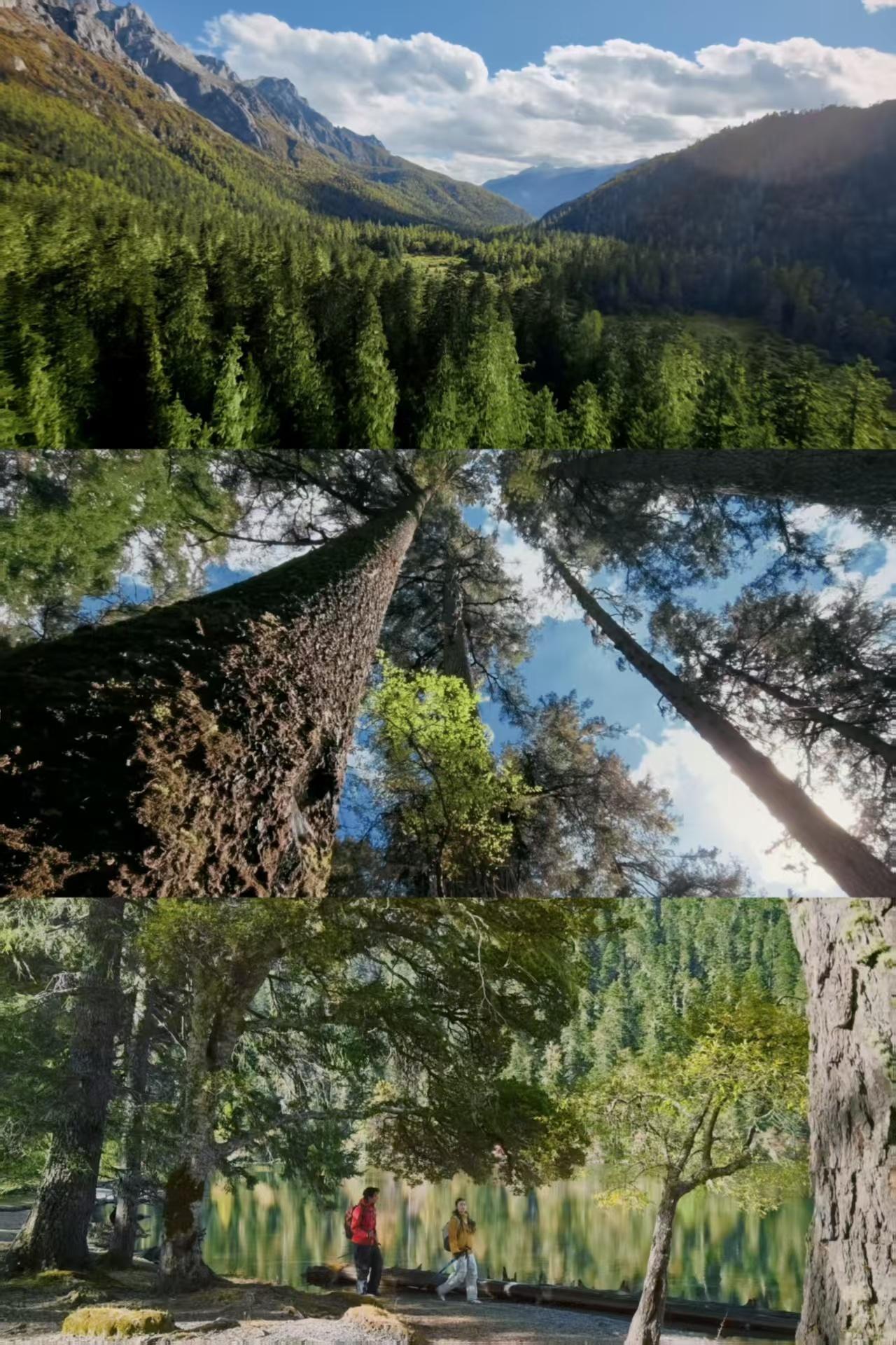 国家地理镜头下每一帧都是大片峡谷峭壁刻着岁月痕迹，溪流穿石而过叮咚作响，漫山彩林