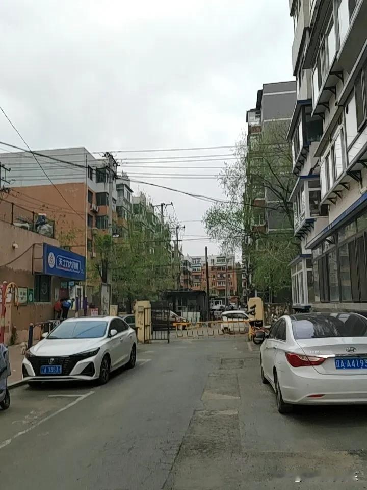 真心话茶局