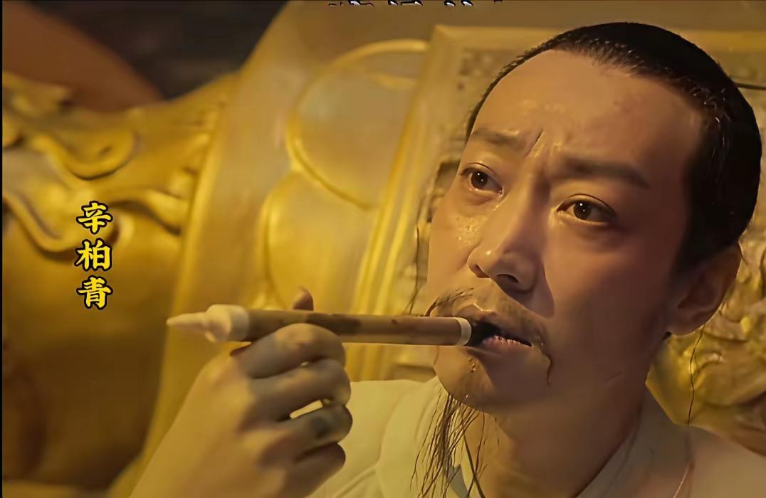 内地男演员辛柏青港台男演员刘松仁说实话依你们的审美这两人演技谁更高一抽呢