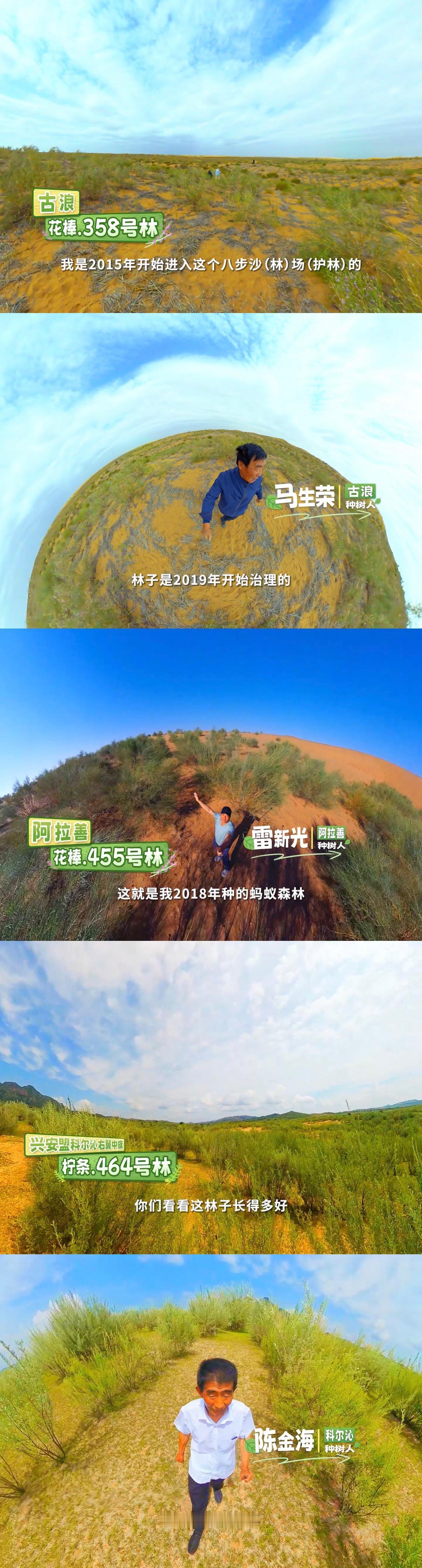 看了蚂蚁森林种树人拿起“全景相机”拍摄的最新视频后，深有感触：没有什么比一线种树