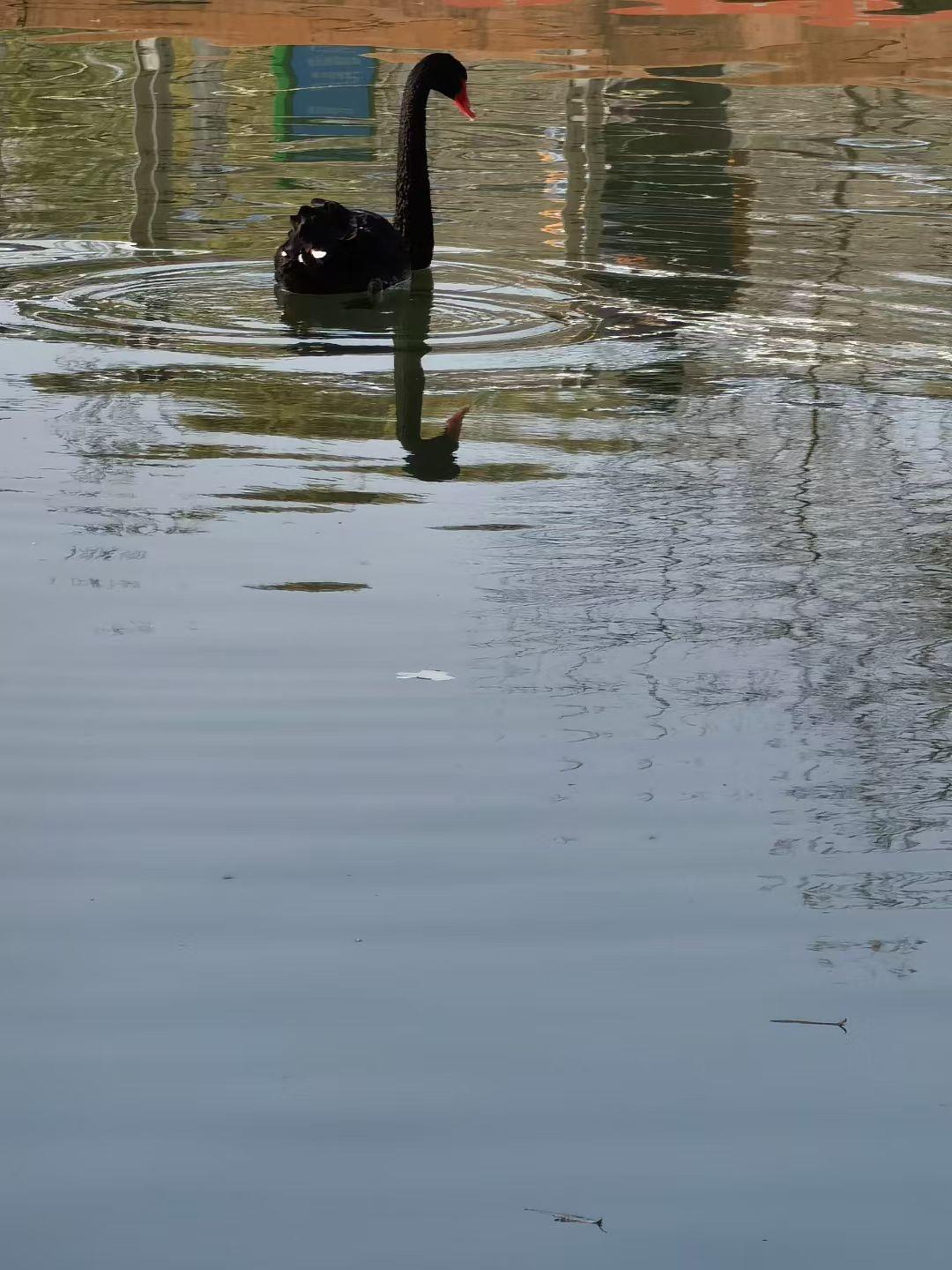 人生在世，谁也不能做到让任何人都喜欢，所以没必要去讨好别人，一定要和相处舒服的人