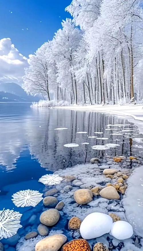 冬日打卡，湖边景色如画