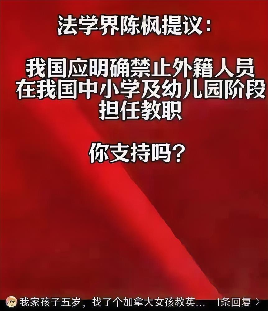 低龄教育禁外籍任教引热议，教育安全该如何守住底线解释不清了！法学界人士陈枫