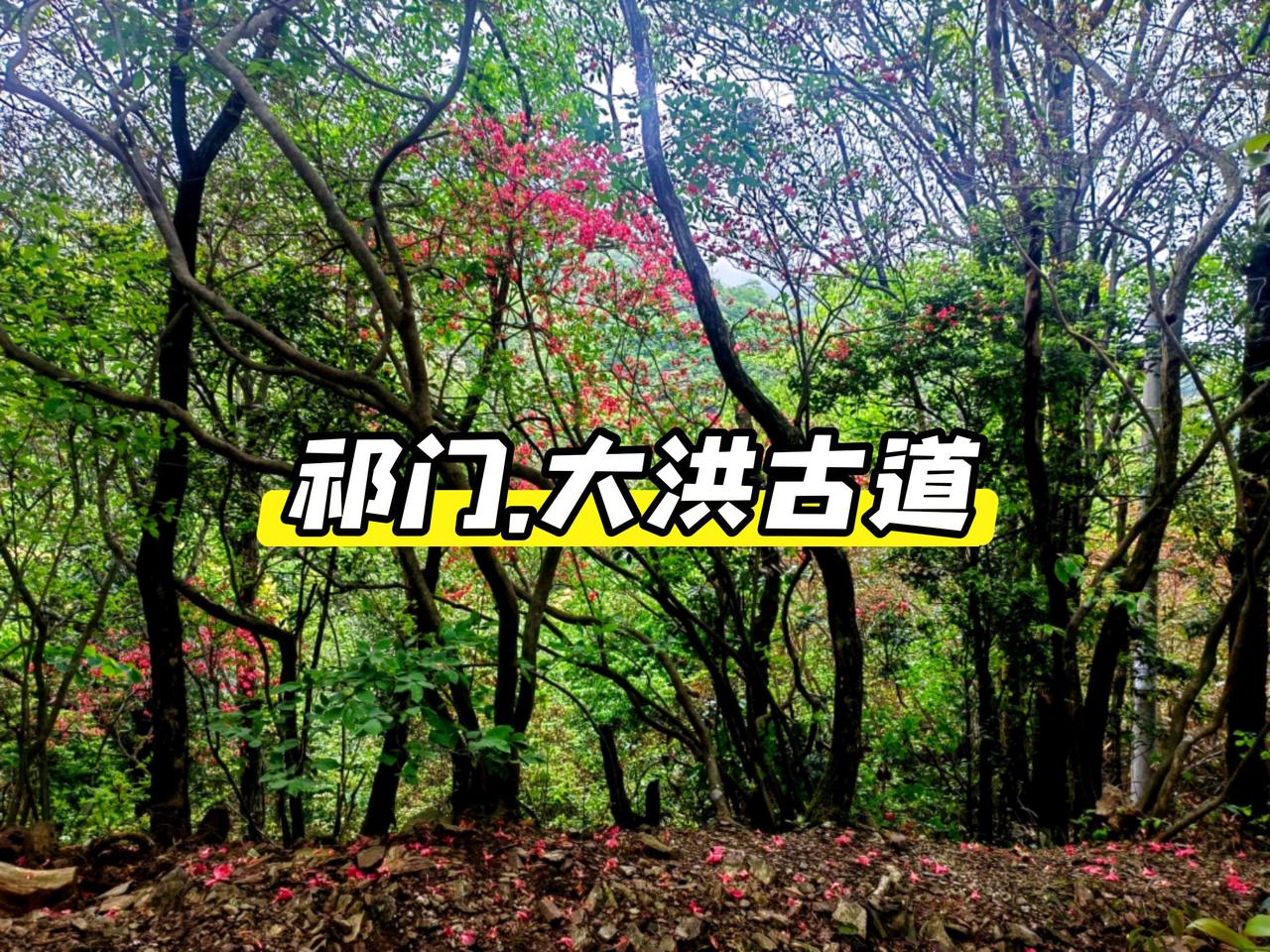 皖南祁门县，距今已有千年历史的大洪古道。昔时，是古徽州前往安庆府的必经之路，享