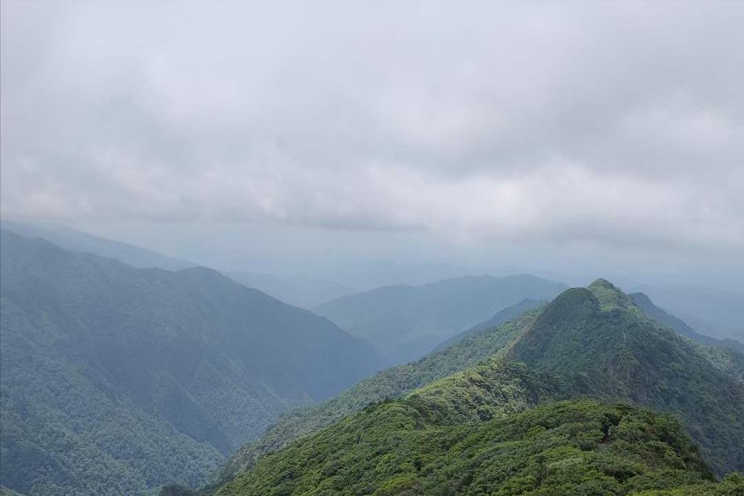 CBA第17轮爆冷夜！强队接连翻车，黑马逆袭搅乱积分榜CBA常规赛第17轮上