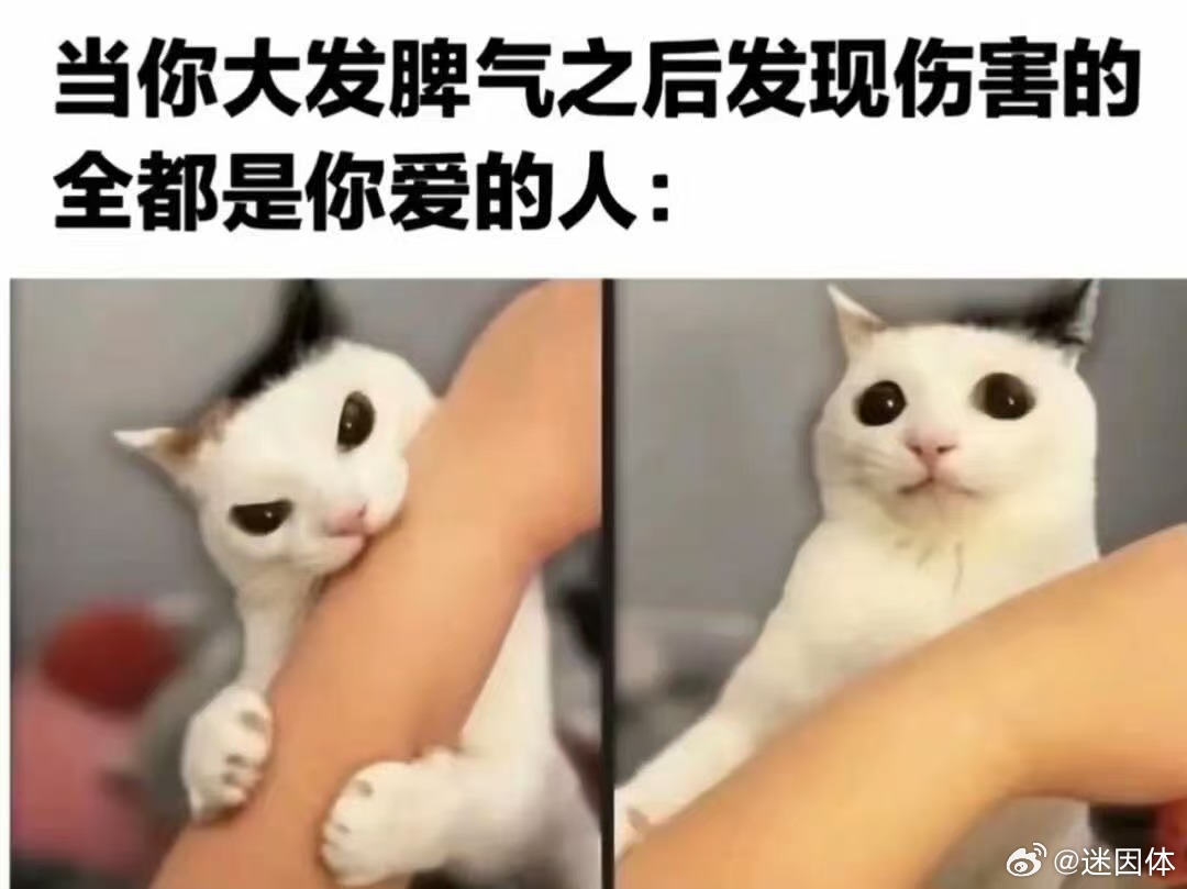 畜生memes迷译图