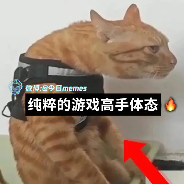 一看就厉害（9gag）今日meme今日memes
