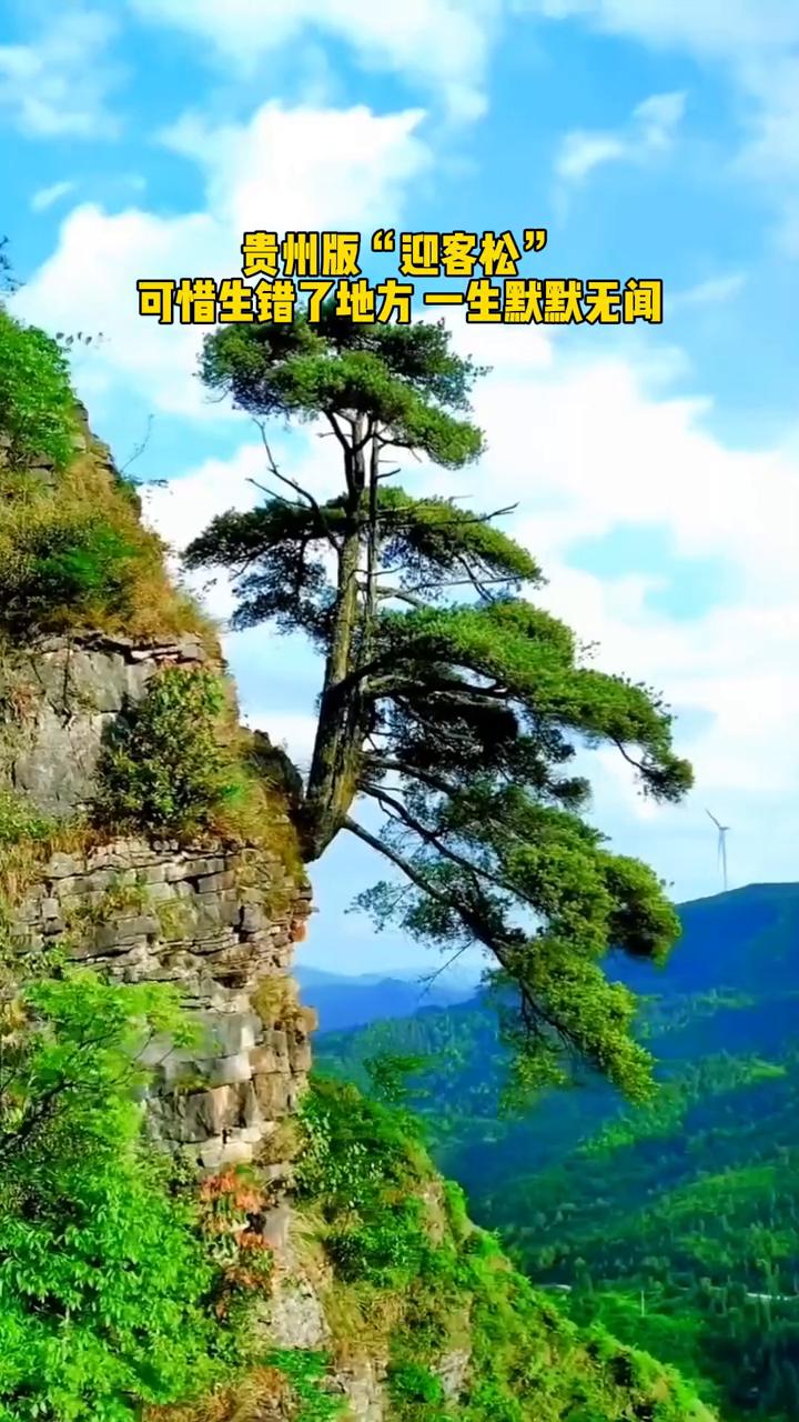 贵州版