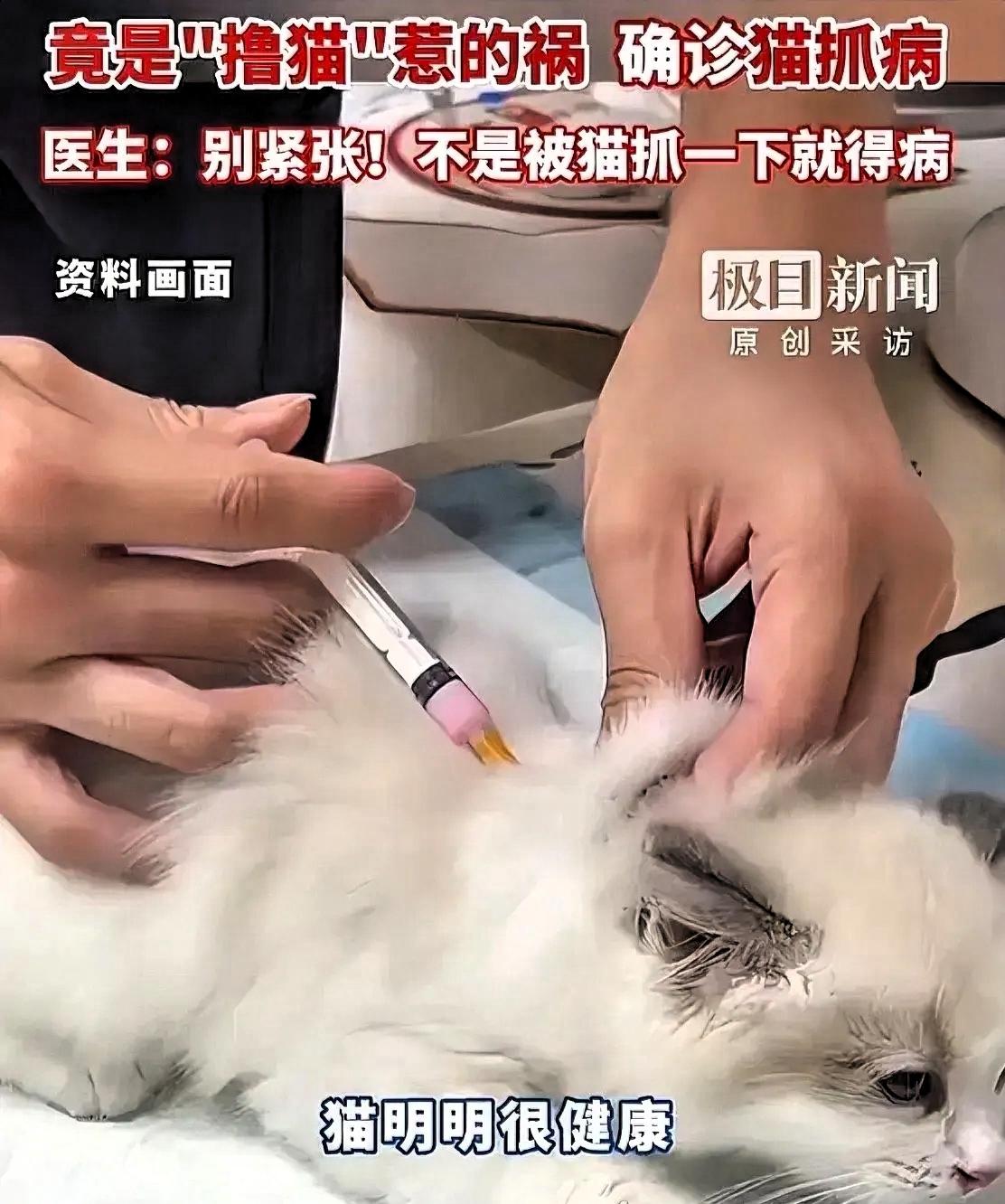 "万万没想到！"9月17日报道，湖北武汉，一小男孩连续两天发烧，妈妈摸到他腋下有