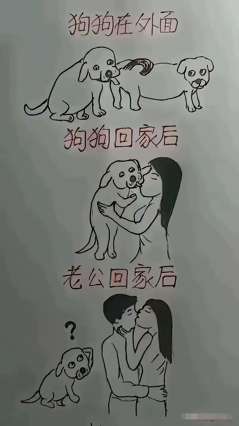 狗闻狗屁股，是交流的信号。也属正常。狗和美女亲嘴。爱狗女士的情不自禁。宠物减压