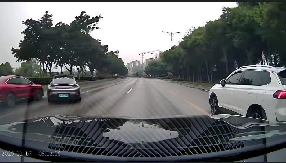 11月16日，四川成都。网友发视频称:新鲜出炉的交通事故，警示而已，希望某法务部