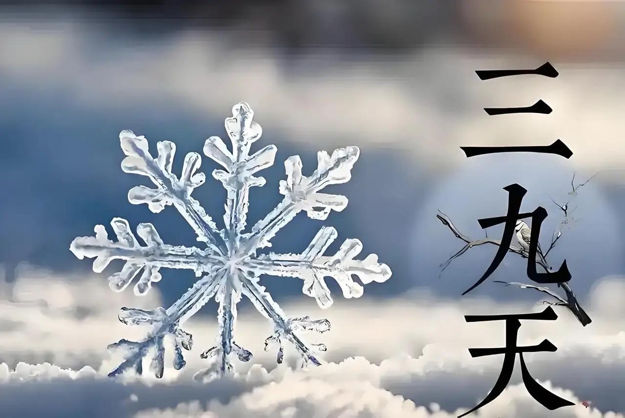 今年的三九为啥暖和？目前已进入三九天，专家为啥说今年会偏暖