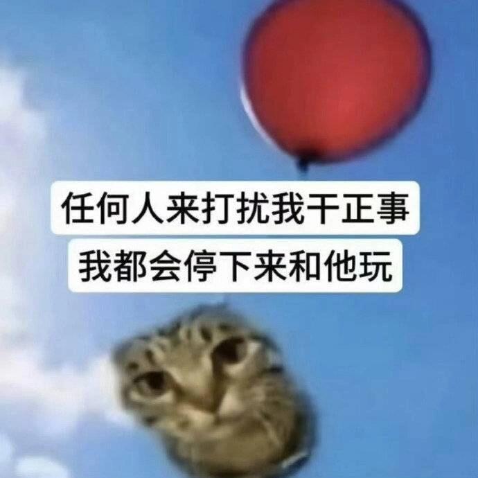 没钱了，我又回来做营销号了​​​