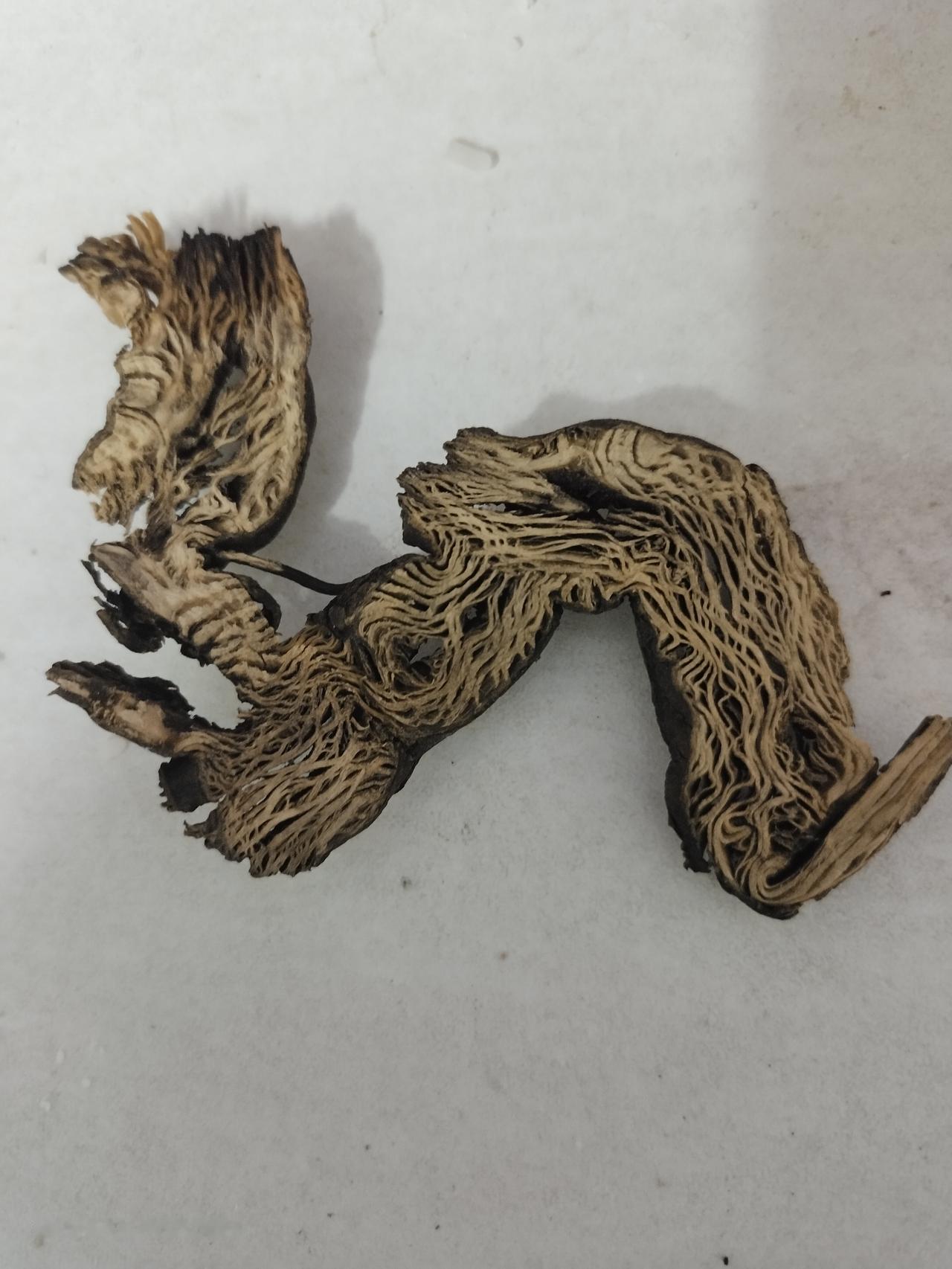 我在服用中药，治疗鼻窦炎的，这是什么药材（植物），大家有认识的吗？鼻炎治疗