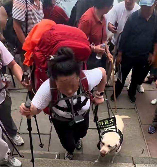 夫妻虐待导盲犬后续：身份被扒工作要黄，官方怒斥，基地已收回！账号直接被封，按摩店