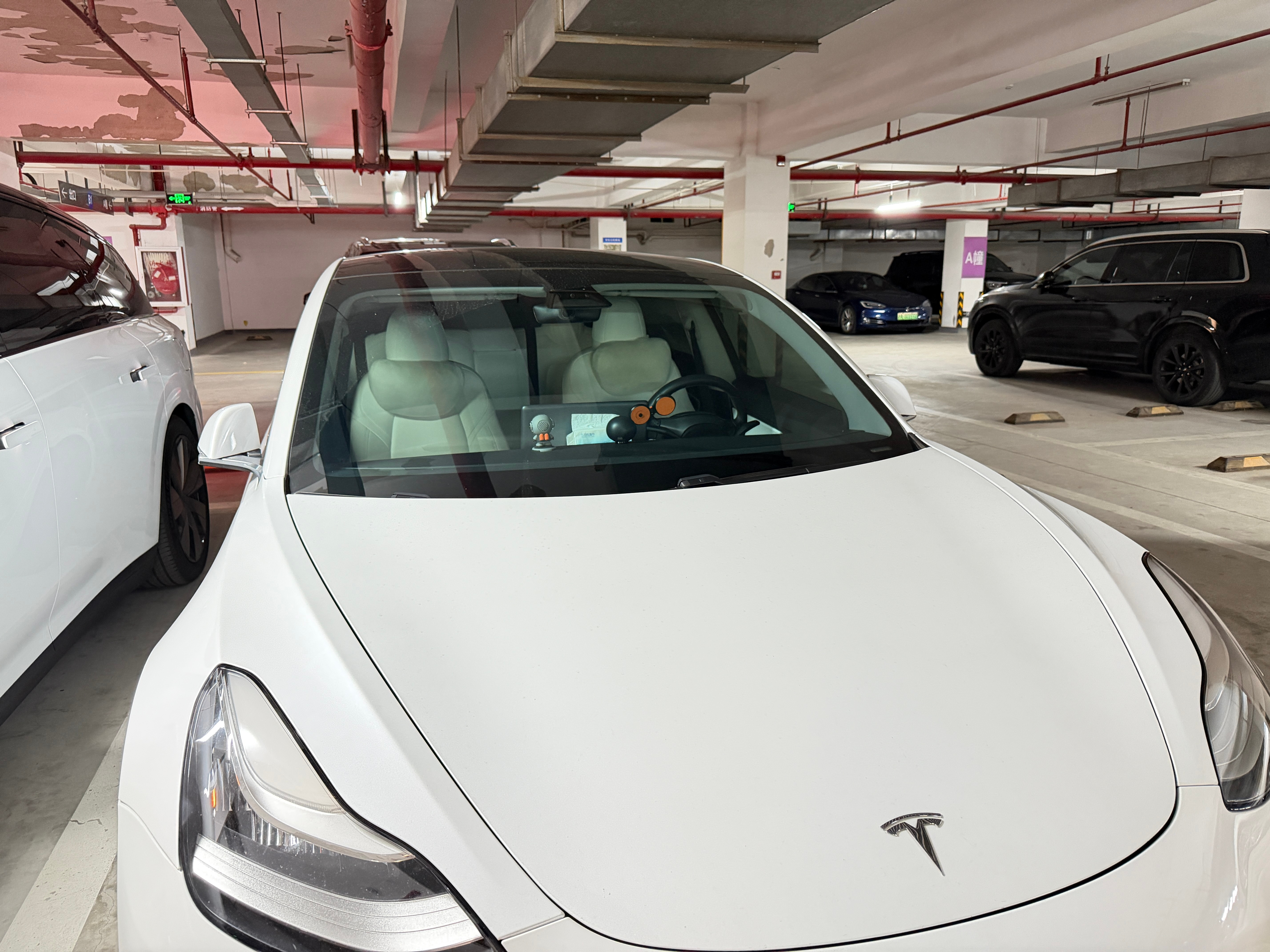 …Damn，我刚真恍惚了。